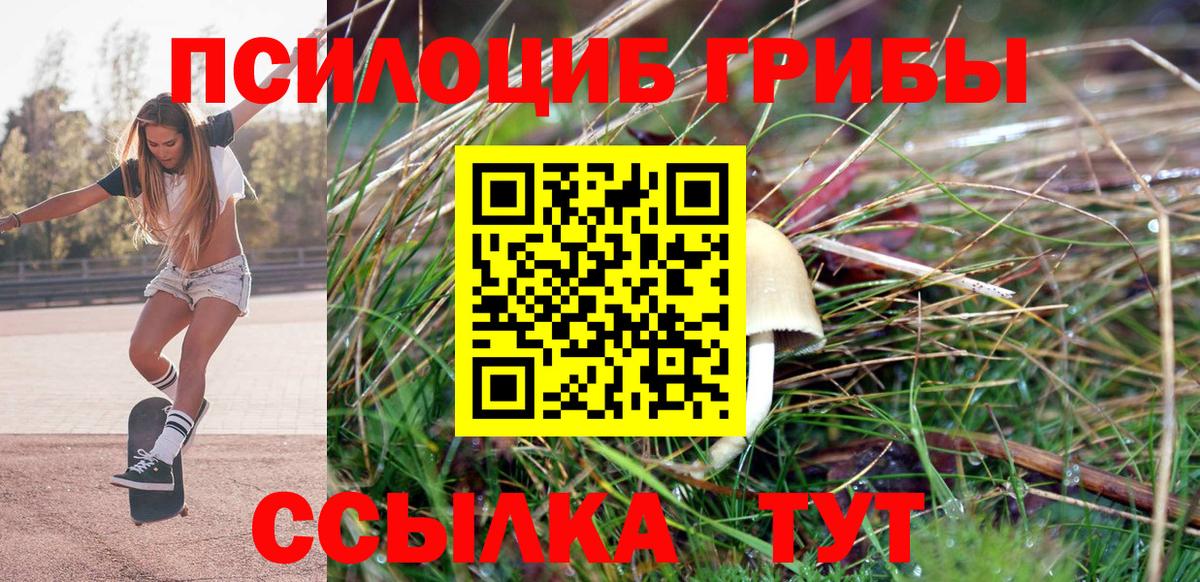 Псилоцибиновые грибы прущие грибы  Псилоцибиновые грибы мухоморы  Каменка  Вход с VPN 