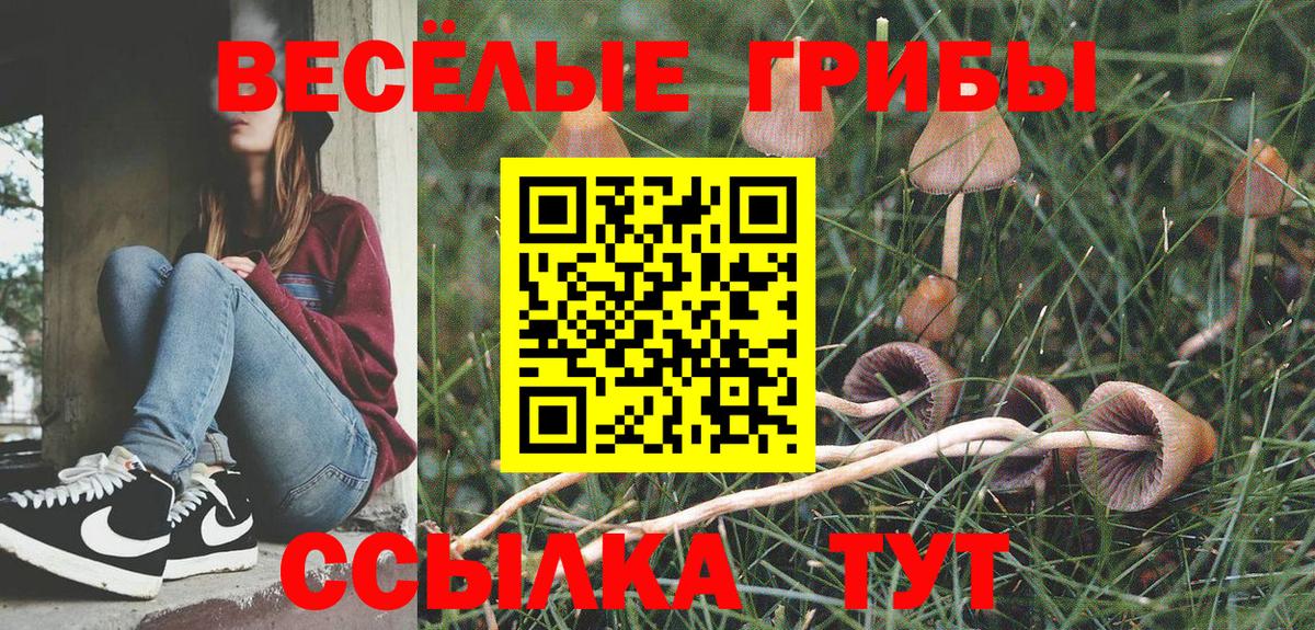 Галлюциногенные грибы MAGIC MUSHROOMS Каменка